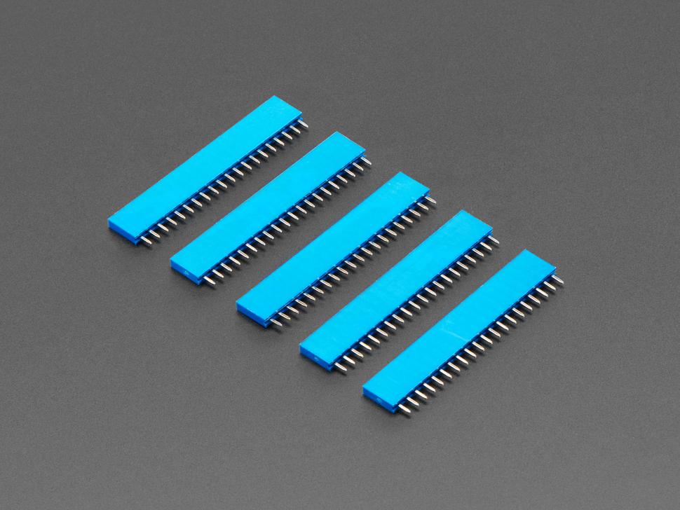 Adafruit 20-pins 0,1" female header - Blauw - 5 stuks