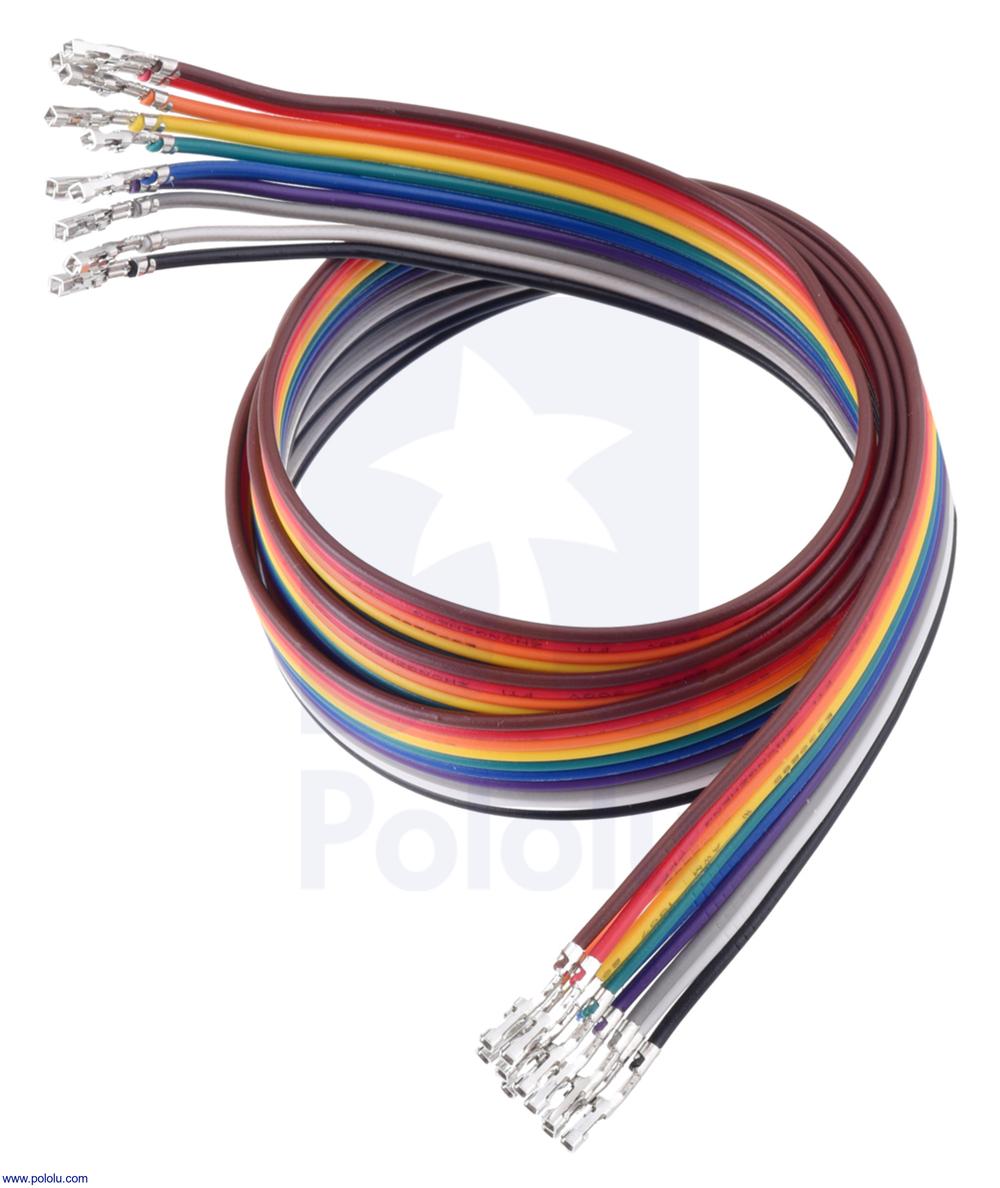 Strike Pro The Pigster CWC: Set 10 Esche Da 10 Cm In 10 Colori Diversi - Nuovo