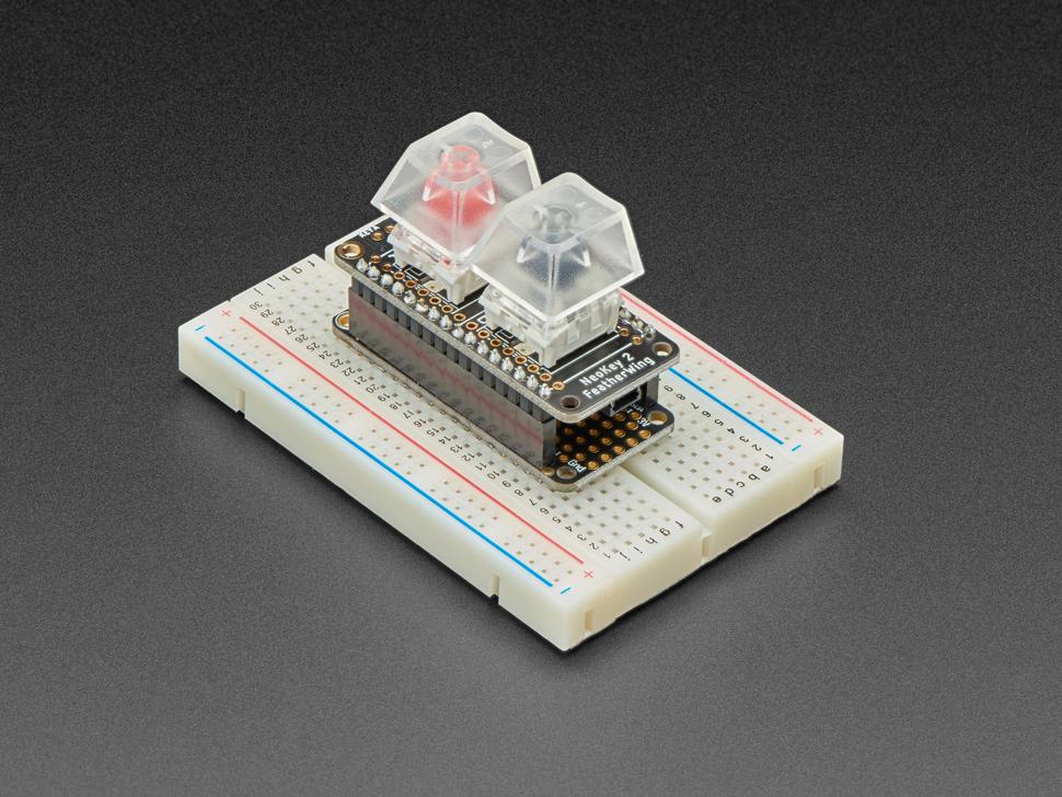 Adafruit NeoKey FeatherWing - Twee mechanische toetsschakelaars met NeoPixels